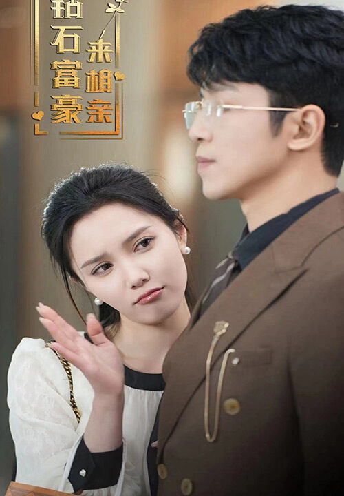 6687-钻石富豪来相亲(100集)