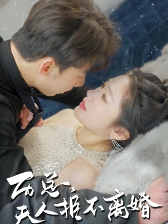 7349-历总-夫人拒不离婚(61集)