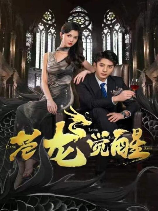 8136-苍龙觉醒(100集)