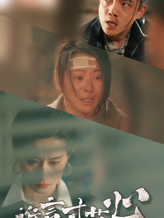 6986-谁言寸草心(79集)