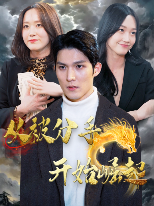 8334-从被分手开始崛起(100集)