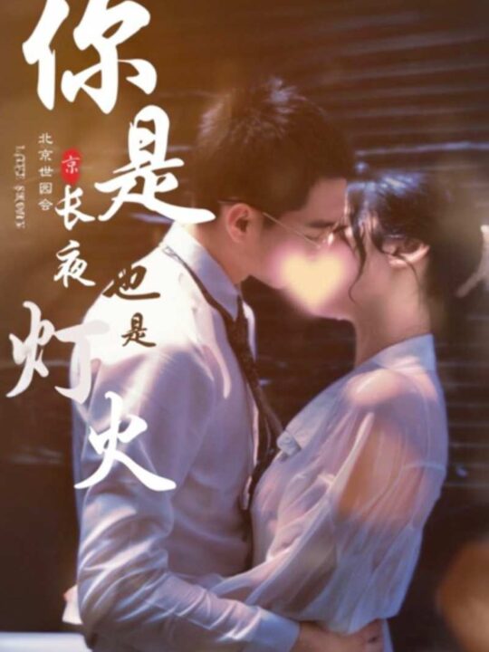 6729-你是长夜也是灯火(89集)