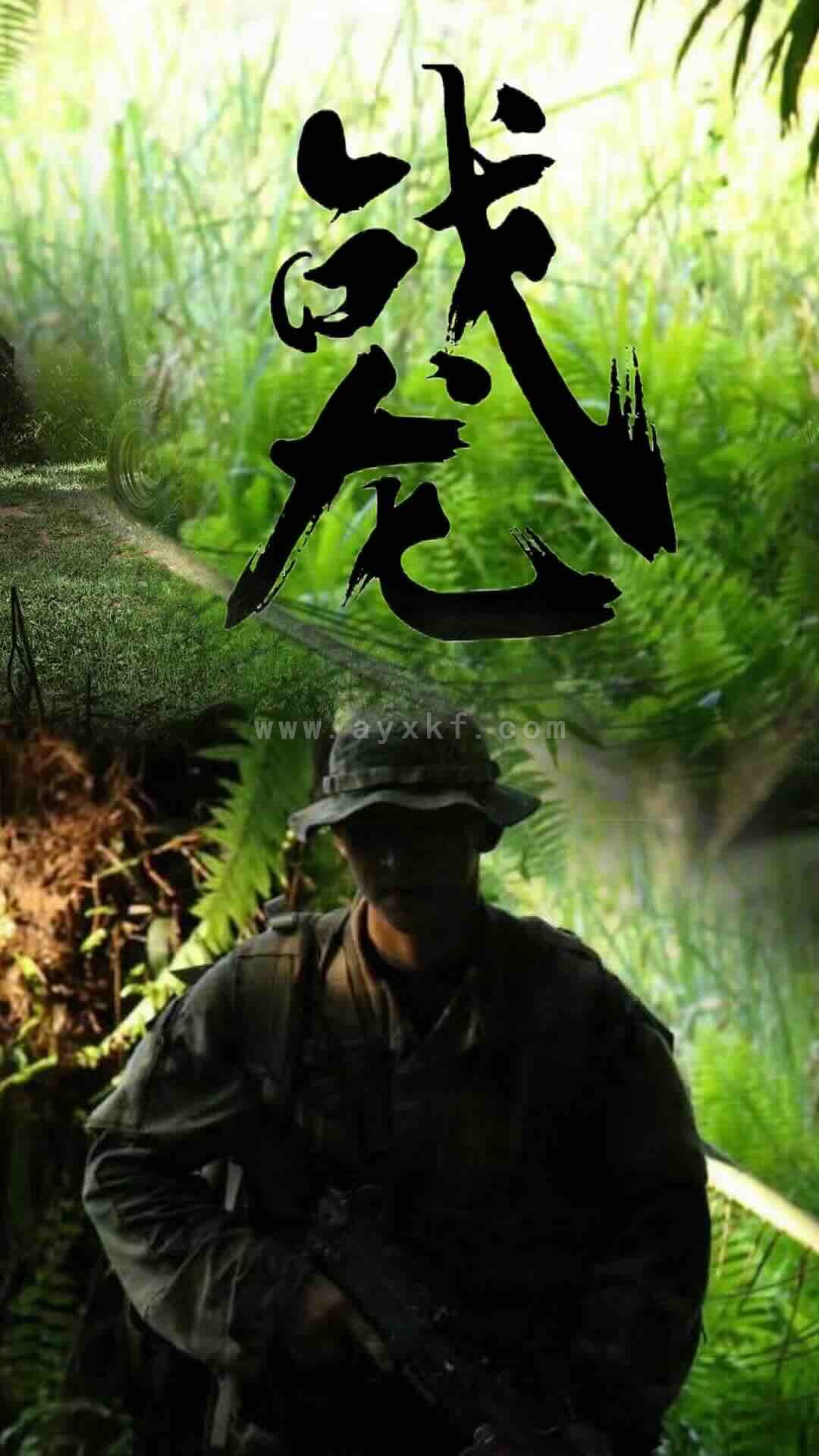 7176-战龙(80集) 最新 图1张