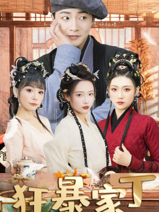 7049-狂暴家丁$飞驰人生之超品家丁(90集)