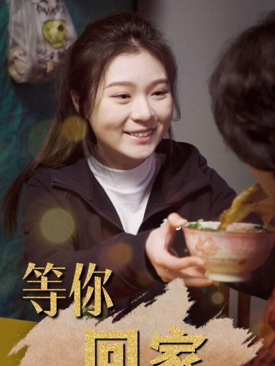 6944-等你回家(80集)