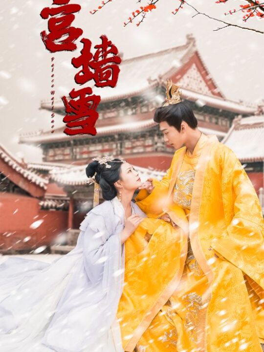 7024-宫墙雪(99集)