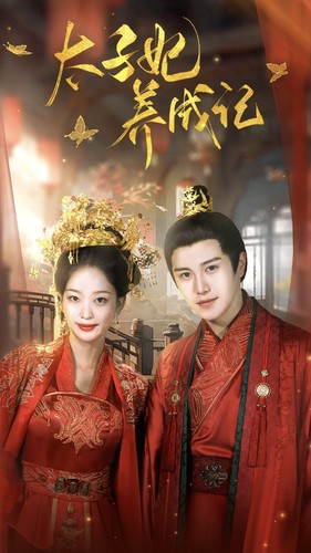 6862-太子妃养成记(97集)