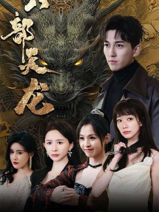 6798-八部天龙(88集)陈诗敏