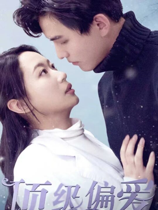 7316-顶级偏爱(80集)