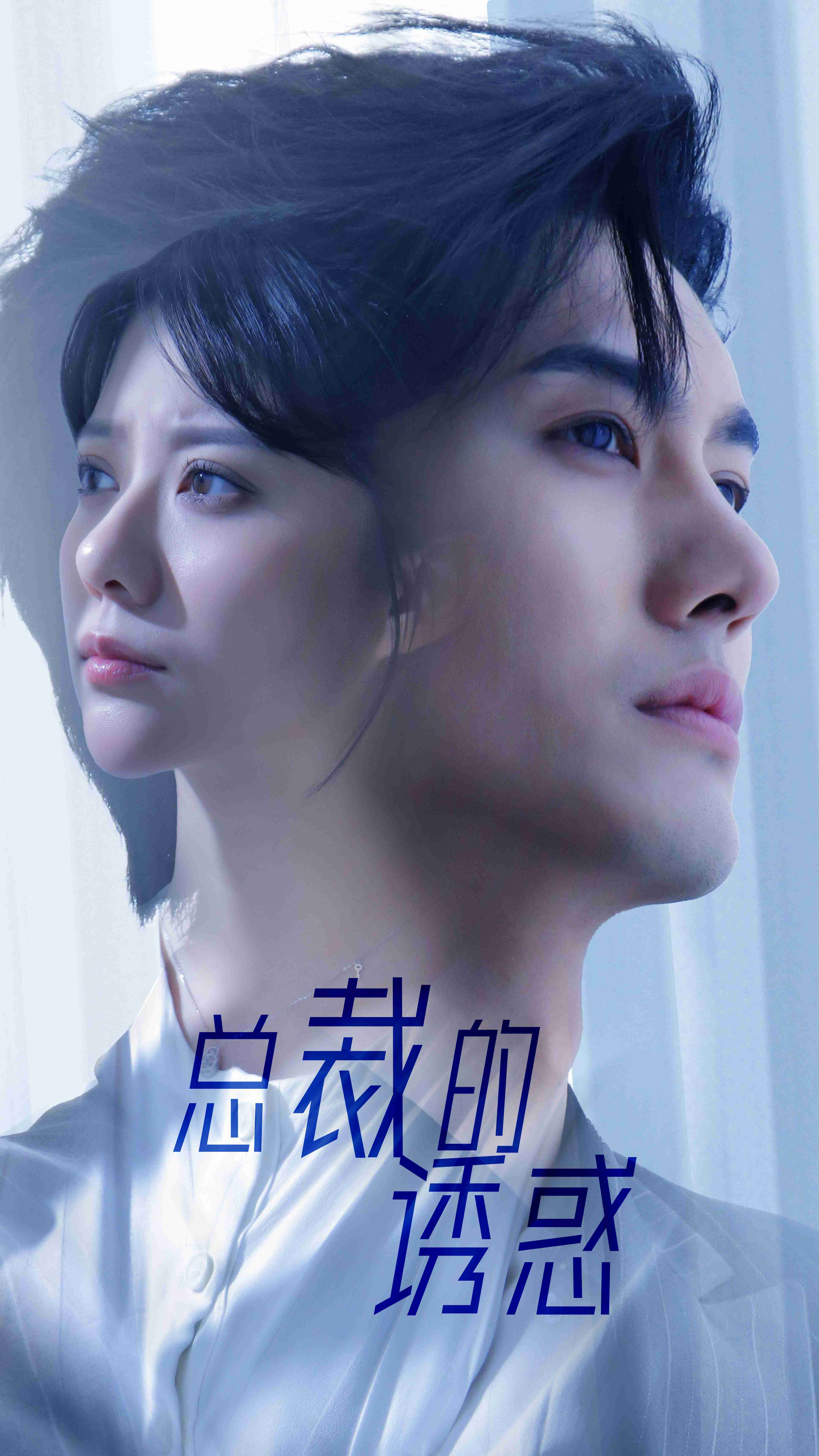 6680-总裁的诱惑(82集) 最新 图1张