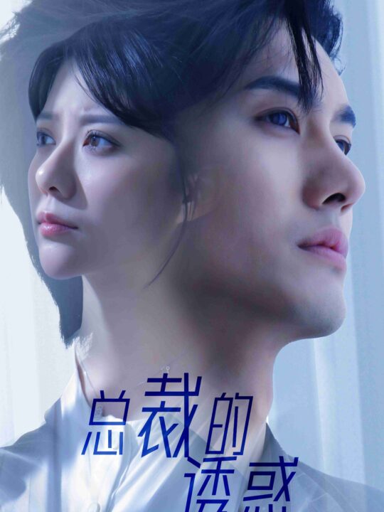 6680-总裁的诱惑(82集)