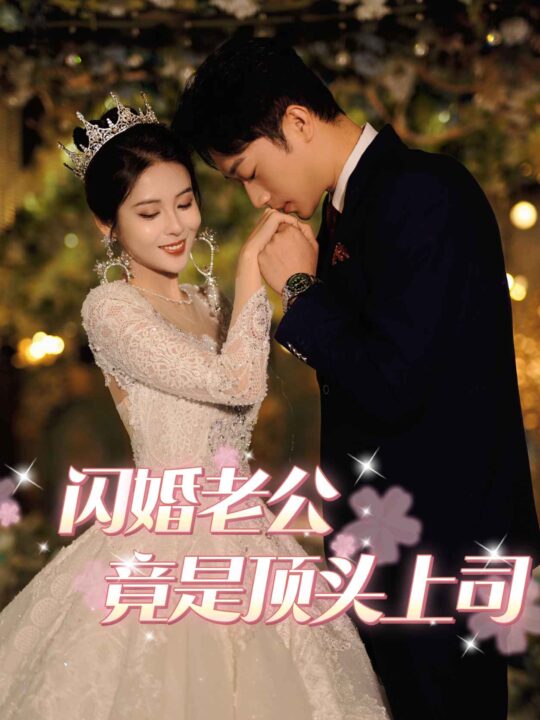 6824-闪婚老公竟是顶头上司(80集)