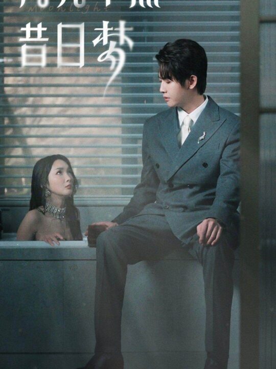 8346-月光不照昔日梦(79集)