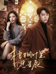 7057-梧桐叶里思星辰(100集)