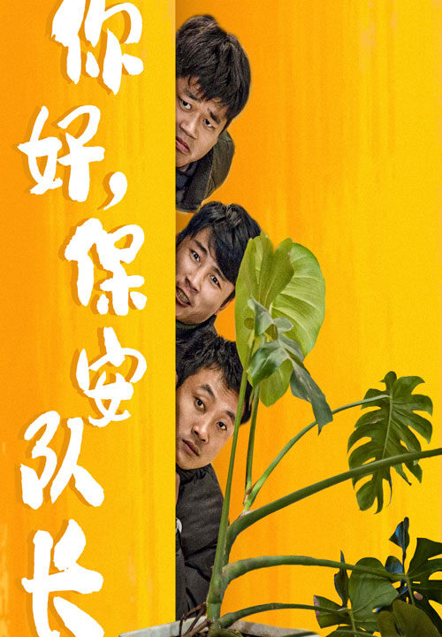 7325-你好-保安队长(85集)