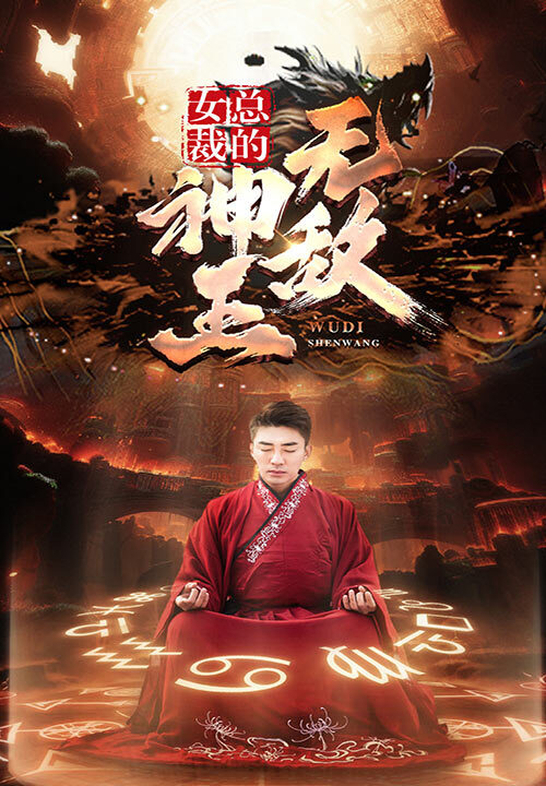 6709-女总裁的无敌神王(86集)