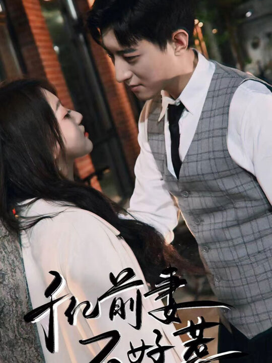 8255-千亿前妻不好惹(80集)