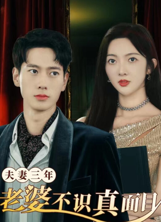 6939-夫妻三年老婆不识真面目&苍穹之上(83集)