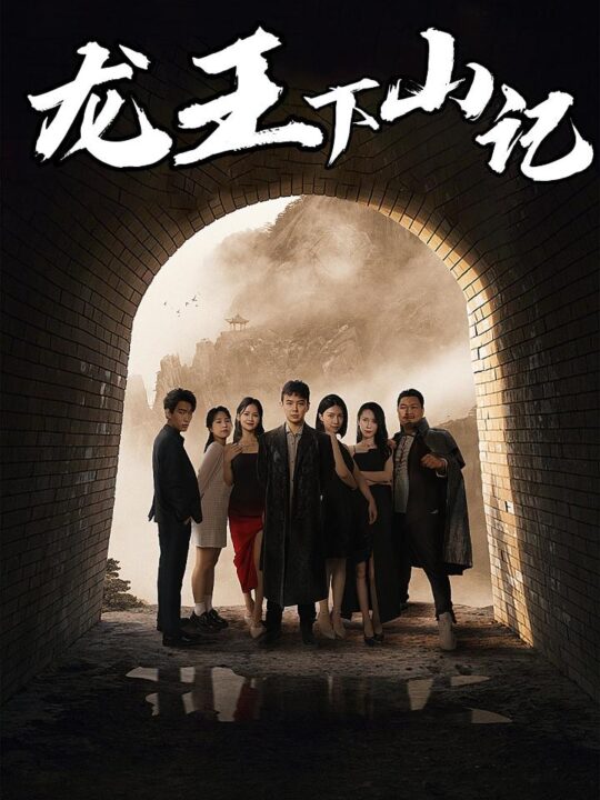 6954-龙王下山记(80集)