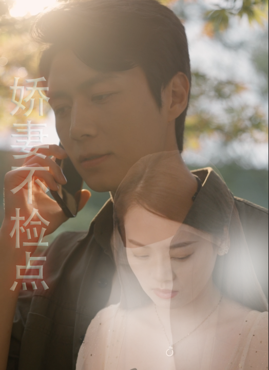 6744-娇妻不检点(87集)