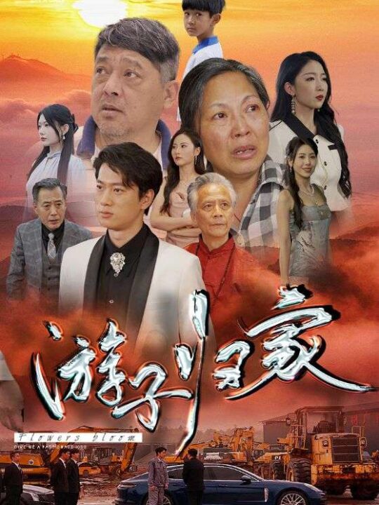 8262-游子归家(88集)