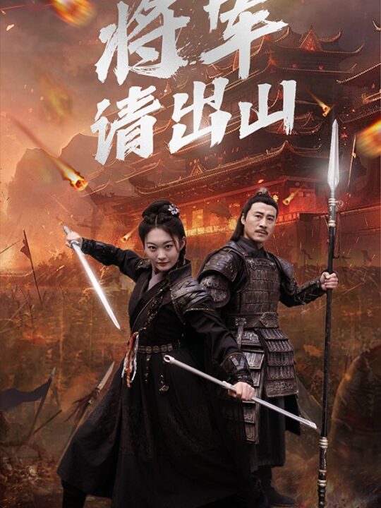 7249-将军请出山(70集)