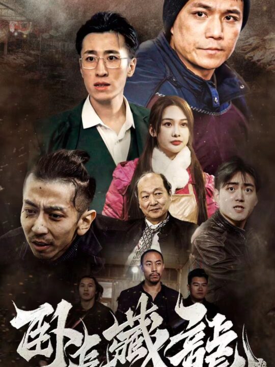 7133-卧虎藏龙(92集)