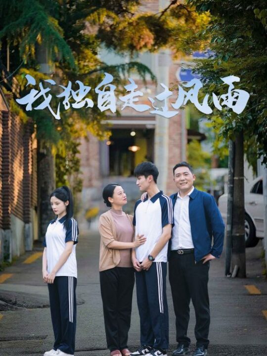 13616-我独自走过风雨(36集)