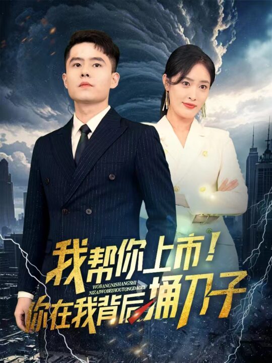 13181-我帮你上市！你在我背后捅刀子(87集)