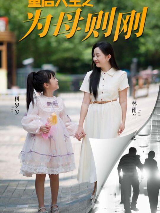 12994-重启人生之为母则刚(37集)