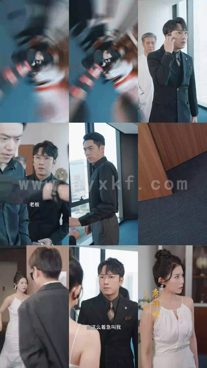 10887-重生之我靠古玩再发家(102集)