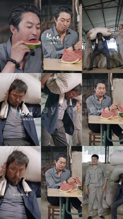 10895-奥运之一举成名(100集)