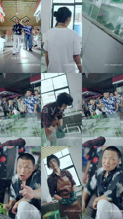 0-最新版：护国神帅（83集）