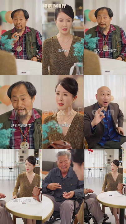 9440-闪婚50岁(95集)