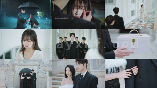 9500-他蓄谋已久(12集)