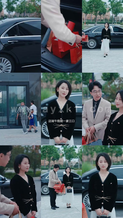 9631-女老板的复仇(33集)