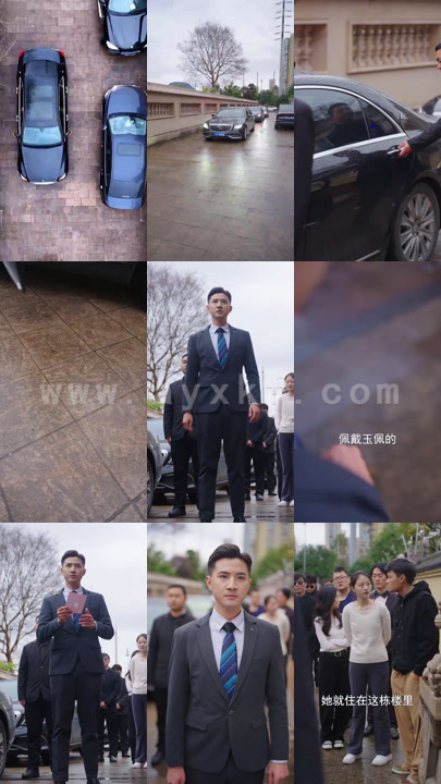 8767-褚总夫人要离婚(94集)