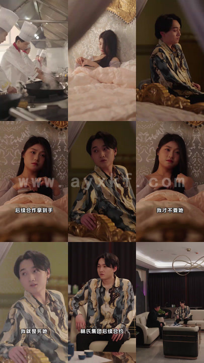 8751-厨神归来(100集)