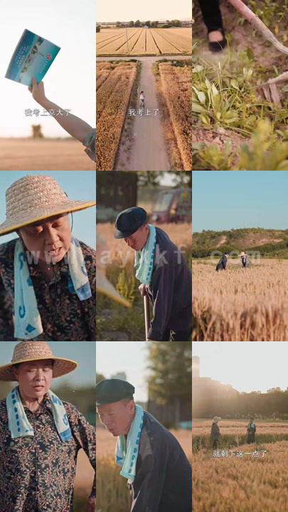 9315-志在千里(30集) 内容图1 一个实时收录全网最齐全的短视频短剧网剧小剧场的网站! 9315-志在千里(30集) 最新 图1张