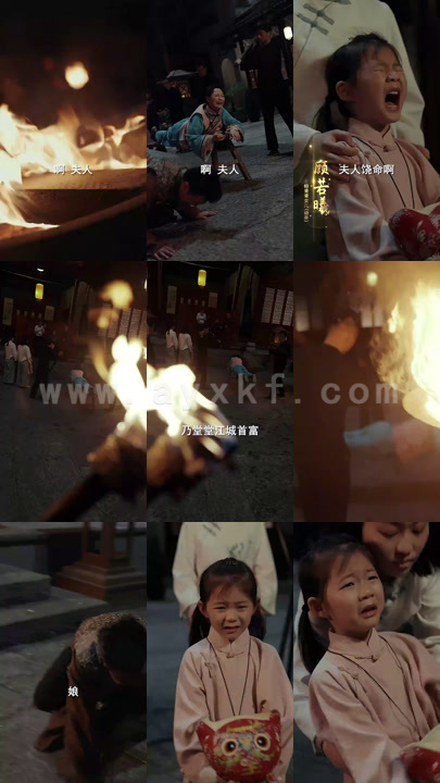 9084-你是我的最爱(82集)