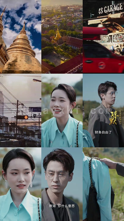 8511-重生后我在商界席卷风云(100集)