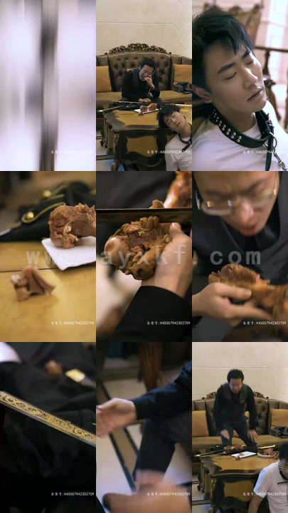 8607-九星统帅(84集)