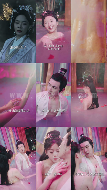 8252-大周皇太子(91集)