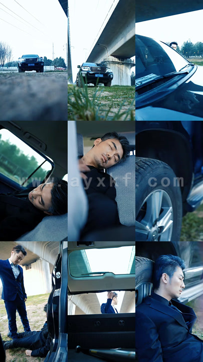 6879-纵横2000(100集)