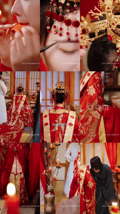 T-太子妃马脚掉不停