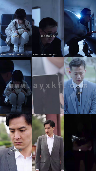 8105-拯救豪门的赘婿(80集)