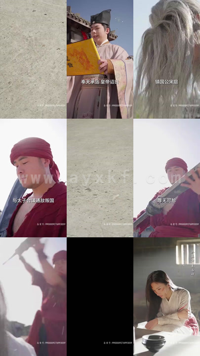 6661-重生王妃是首富(101集)