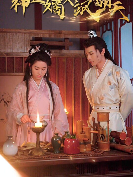 6656-王妃觉醒后&神医嫡女飒翻天(80集)