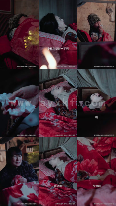 6126-摘星换月(64集)