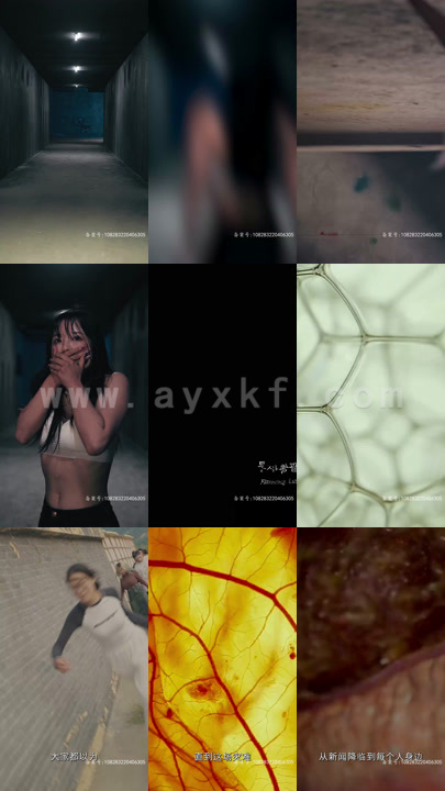 6004-全球丧尸-末世方程式(80集)